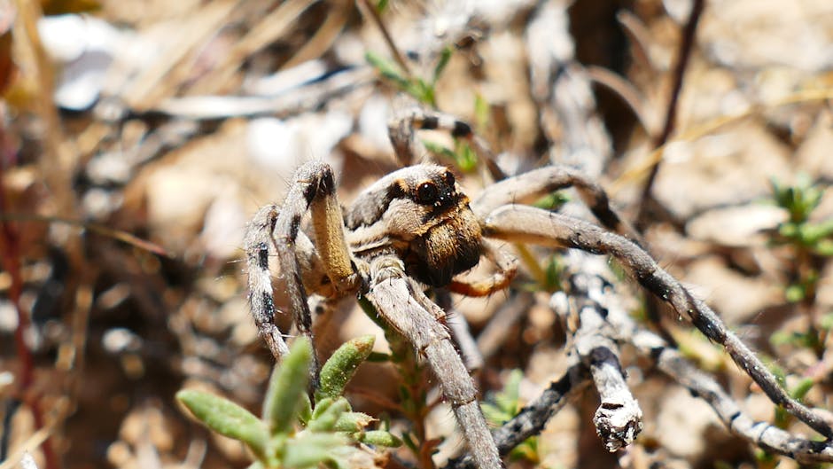 Eco-friendly Yoga Mat